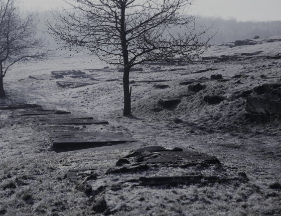 Fotografia współczesna czarno-biała. Na zdjęciu pozostałości cmentarza żydowskiego. Widać zniszczone grobowce. W tle bezlistne drzewa, a w oddali plac apelowy.