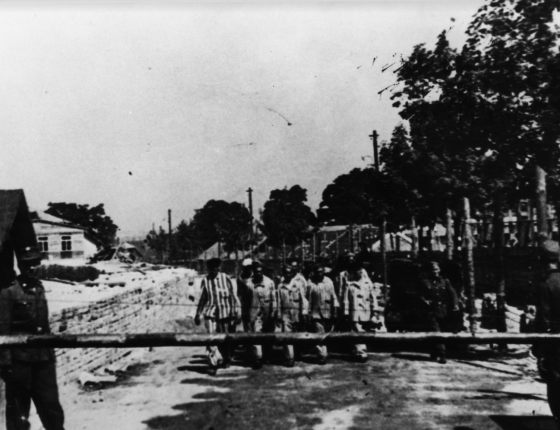 Fotografia archiwalna z czasów okupacji niemieckiej. Na zdjęciu widać grupę więźniów niemieckiego nazistowskiego obozu Plaszow, idących w stronę bramy głównej obozu. Przy szlabanie bramy dwaj strażnicy SS. Trzeci strażnik przy grupie więźniów.