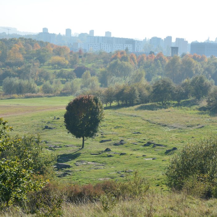 Zdjęcie współczesne. Widok na zielony krajobraz i bezdrzewną polanę. Na pierwszym planie pozostałości nagrobków cmentarza żydowskiego.