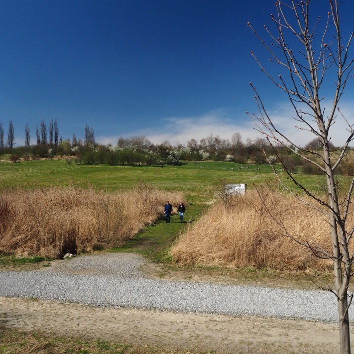Zdjęcie współczesne. Widok na teren poobozowy - zieloną łąkę w miejscu placu apelowego.
