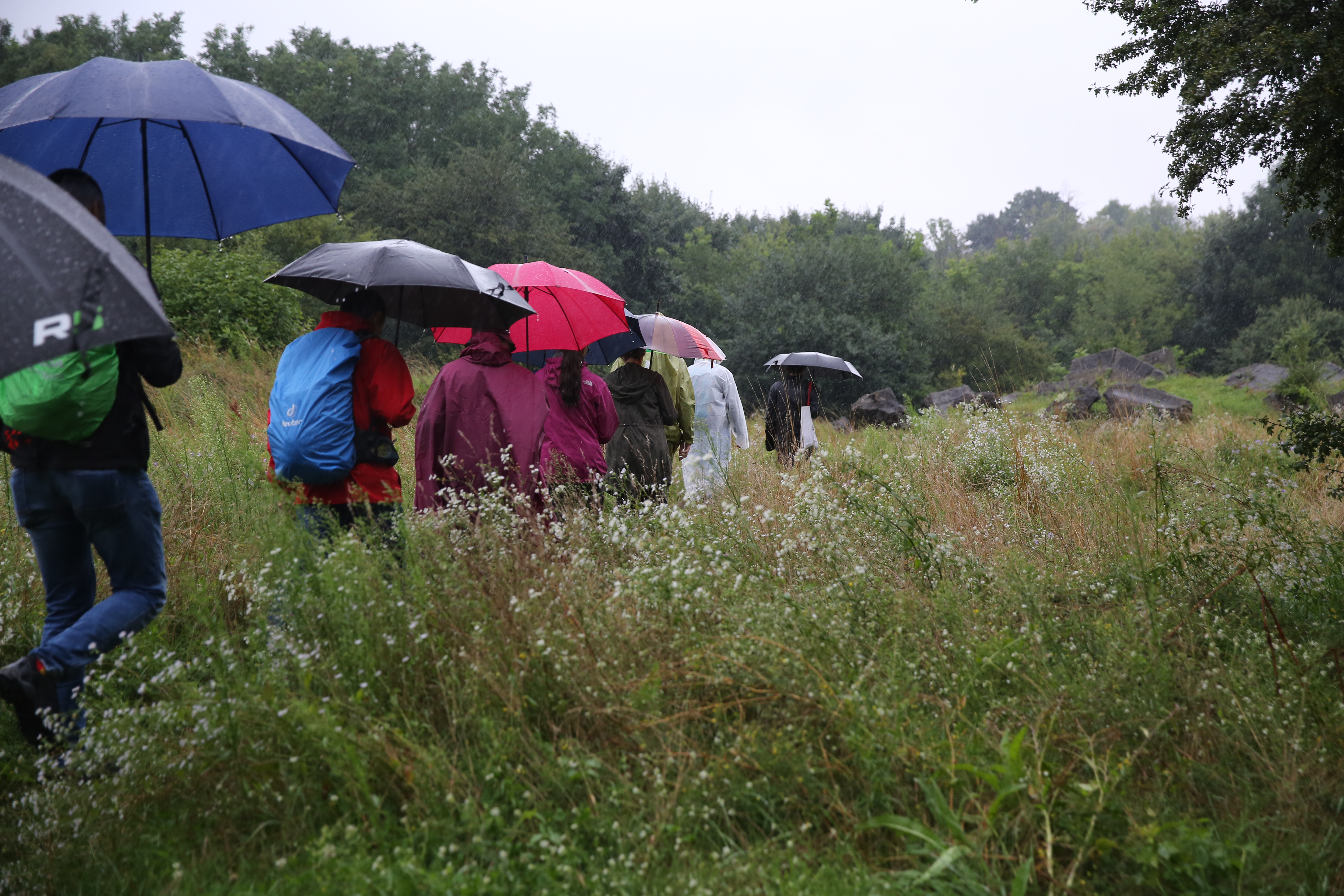 Grupa idących ludzi pod parasolami i w pelerynach przeciwdeszczowych pośród zielonego krajobrazu.