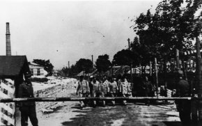Zdjęcie archiwalne czarno-białe. Duża grupa więźniów ubranych w pasiaki idzie drogą. Przedmini szlaban, budka strażnicza i żołnierz.
